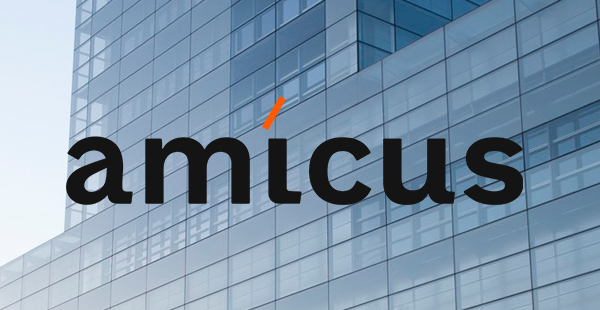 Amicus Technology IT Services